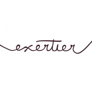 Logo Exeriter